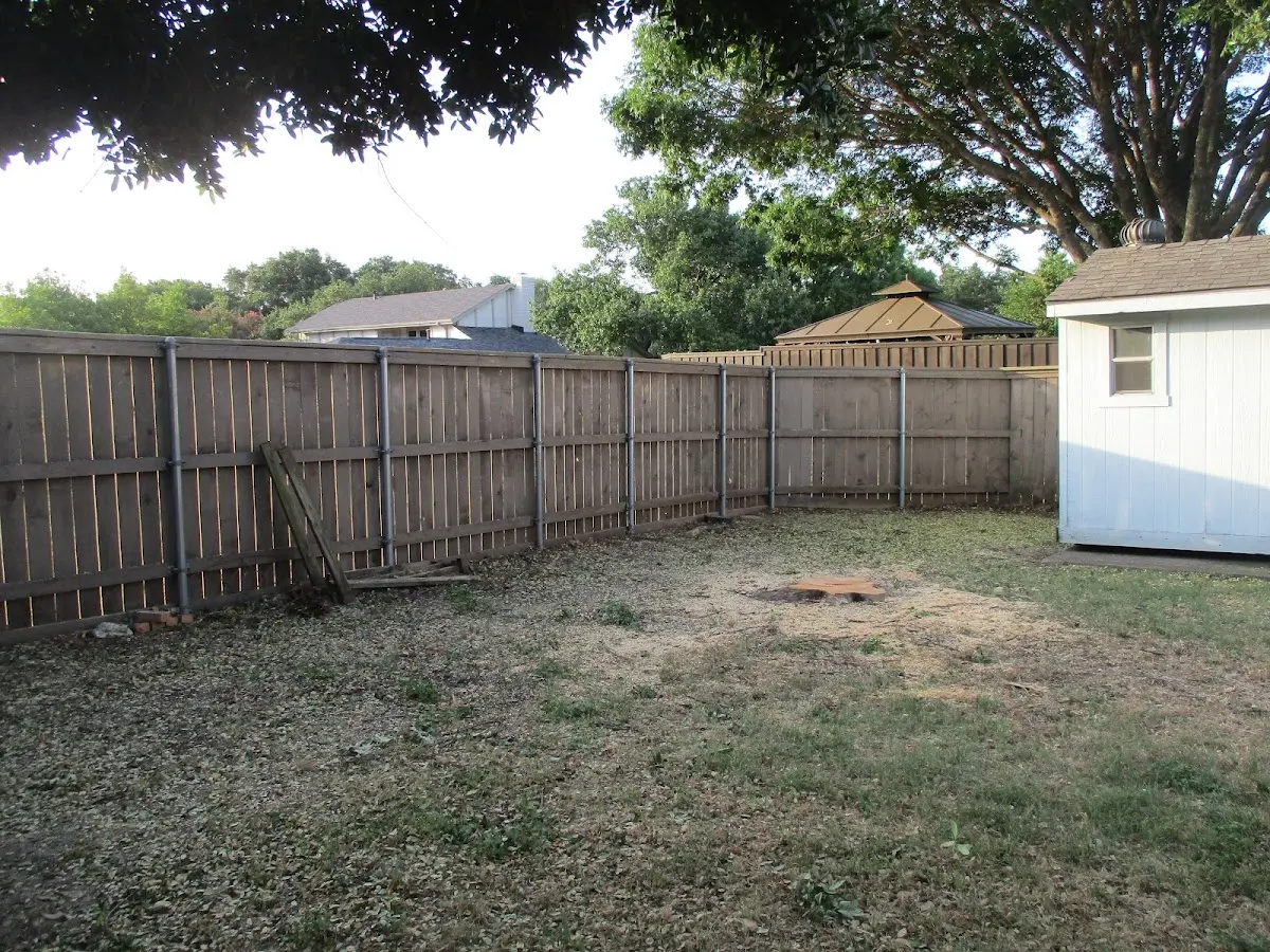 Cleared yard after professional tree removal in Ponemah
