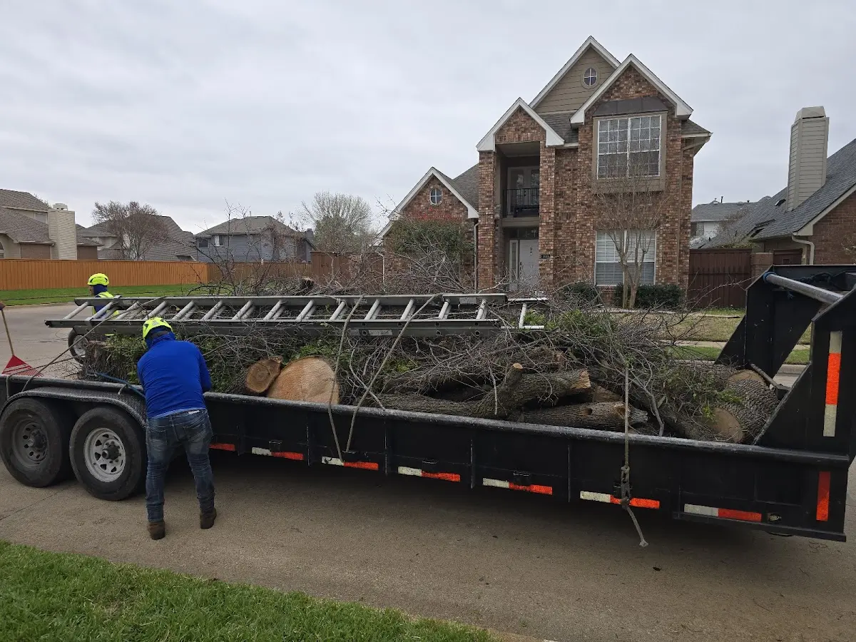 Expert Tree Pest Control with proper safety equipment in Ponemah